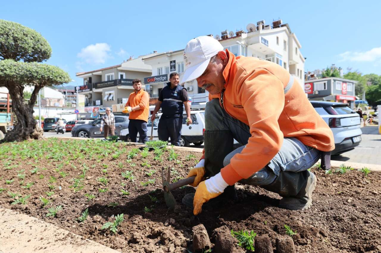 Marmaris Belediyesi Seralarıyla Milyonluk Tasarruf Sağladı 5